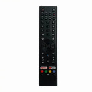 Google U55H10 TV Remote