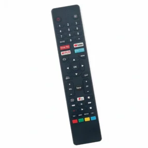Sony RM-C2131 TV Remote